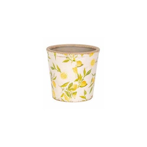 Lemon Plant Pot - Medium